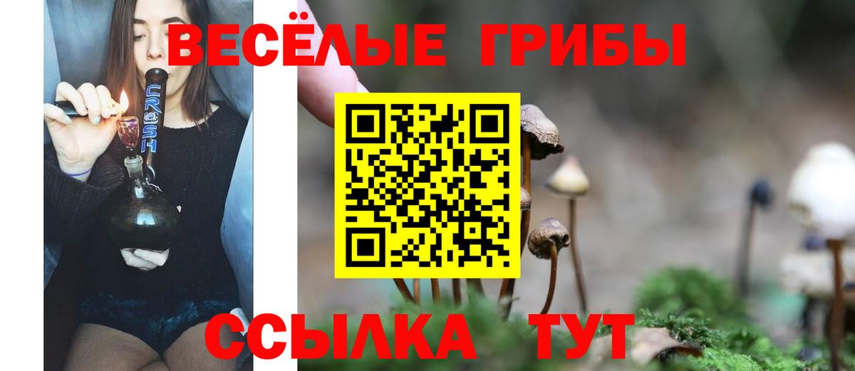 Котельники  Галлюциногенные грибы MAGIC MUSHROOMS  Вход с VPN  Галлюциногенные грибы MAGIC MUSHROOMS 