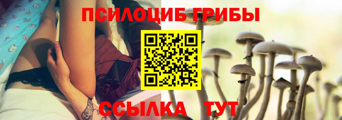 Галлюциногенные грибы Psilocybe Котельники